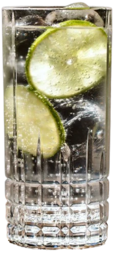 Gin Tonic